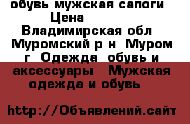 обувь мужская сапоги › Цена ­ 1 000 - Владимирская обл., Муромский р-н, Муром г. Одежда, обувь и аксессуары » Мужская одежда и обувь   